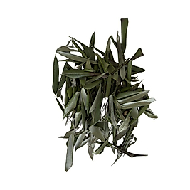 Zeytin Yaprağı.  100Gr