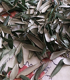 Hedi̇ye Zeytin Yaprağı 100Gr