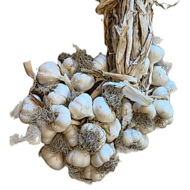 ORTA Boy - SARIMSAK - Kastamonu Taş köprü  1 kg