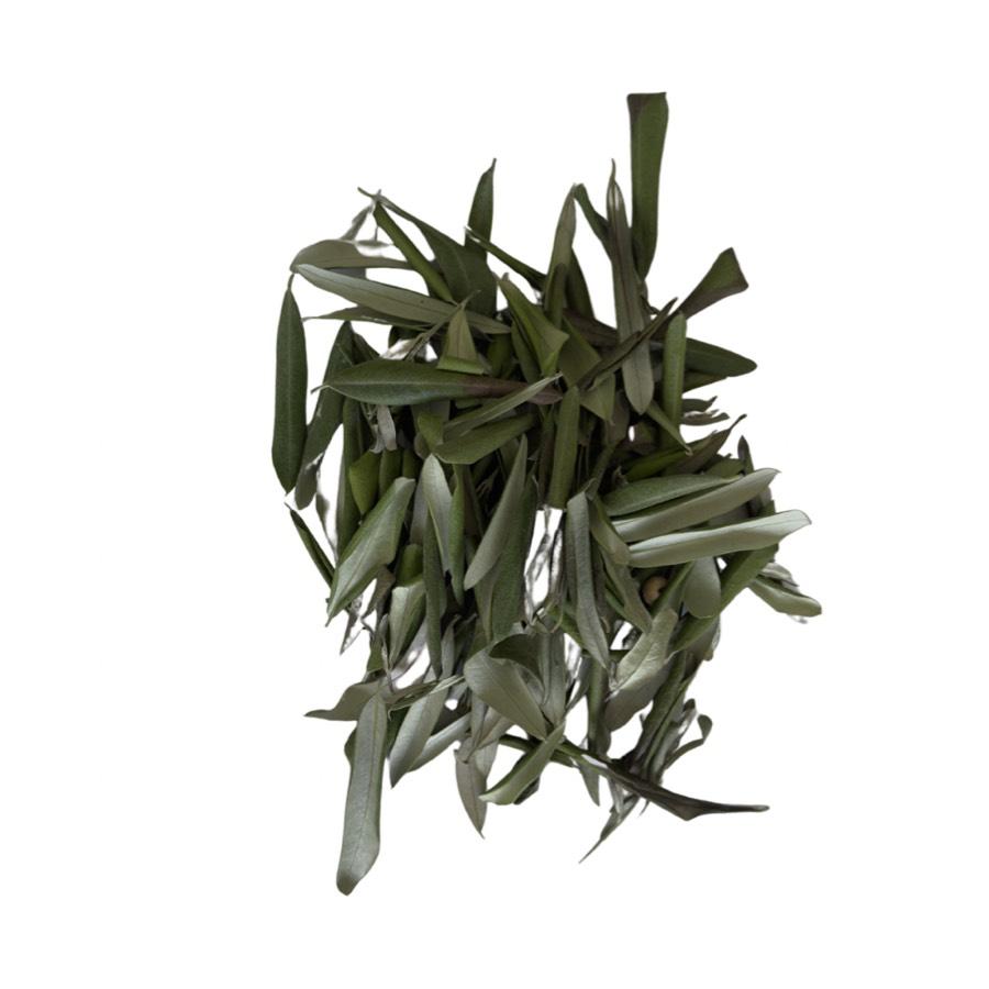 Zeytin Yaprağı.  100Gr