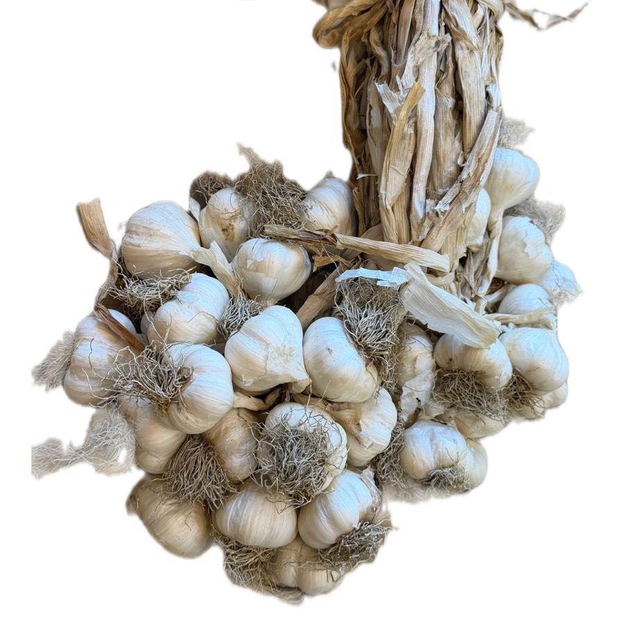 ORTA Boy - SARIMSAK - Kastamonu Taş köprü  1 kg